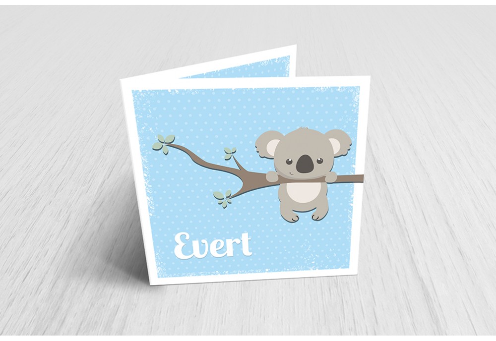 Lieve koalabeer